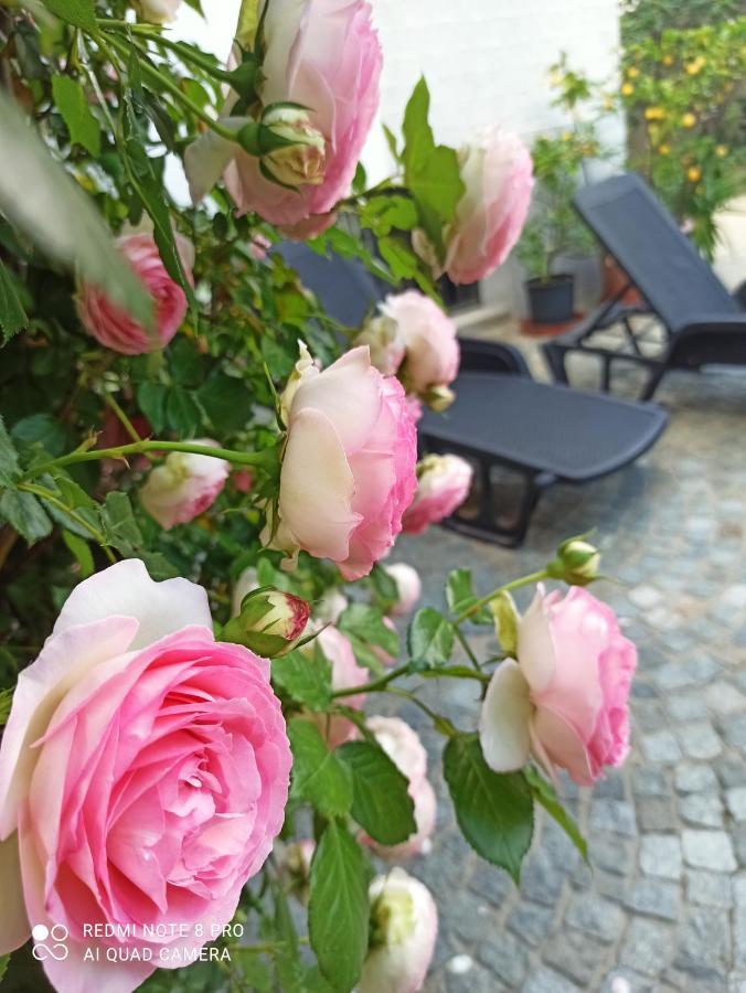 D'Or Duble' Bed And Breakfast Carignano  Buitenkant foto